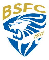 Logo BSFC
